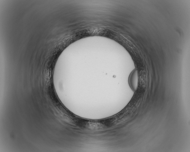 X0000112400605200909110930