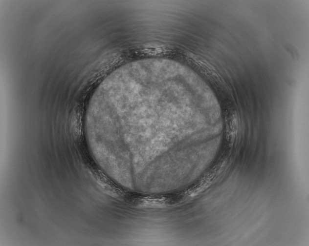 X0000112400606200909110930