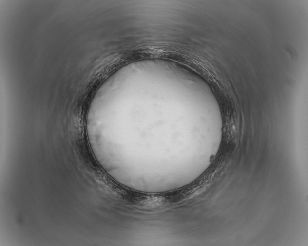 X0000112400609200909110930