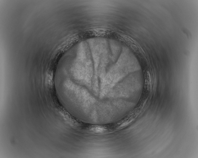 X0000112400610200909110930