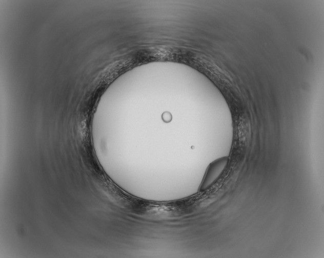 X0000112400611200909110930