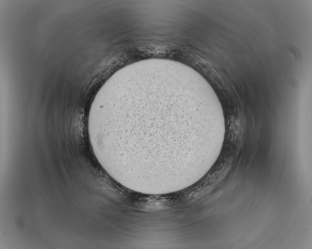 X0000112400612200909110930