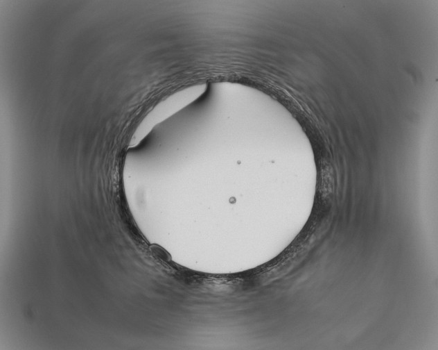X0000112400613200909110930