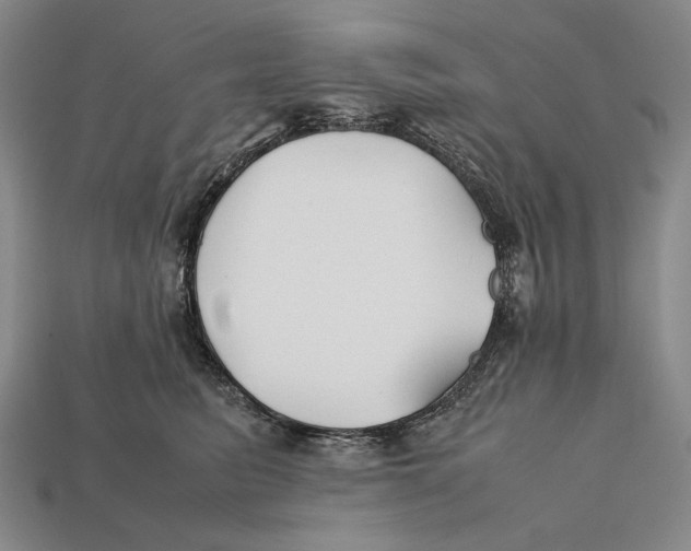 X0000112400615200909110930