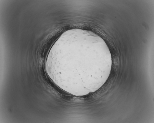 X0000112400617200909110930