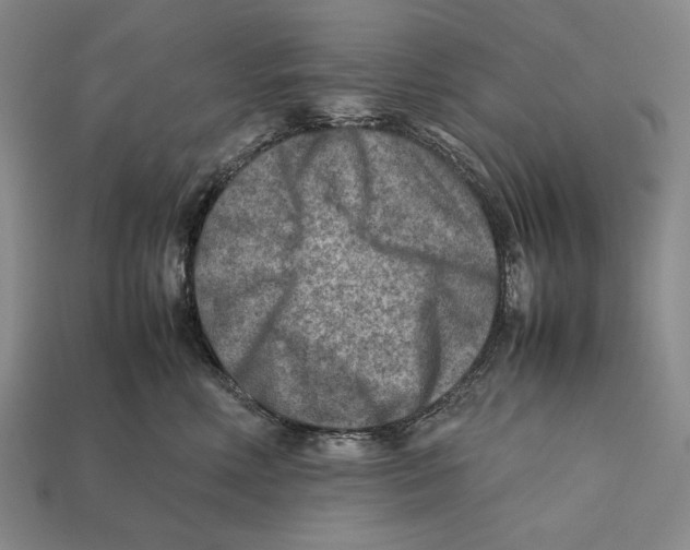 X0000112400618200909110930