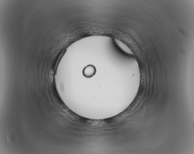 X0000112400621200909110930