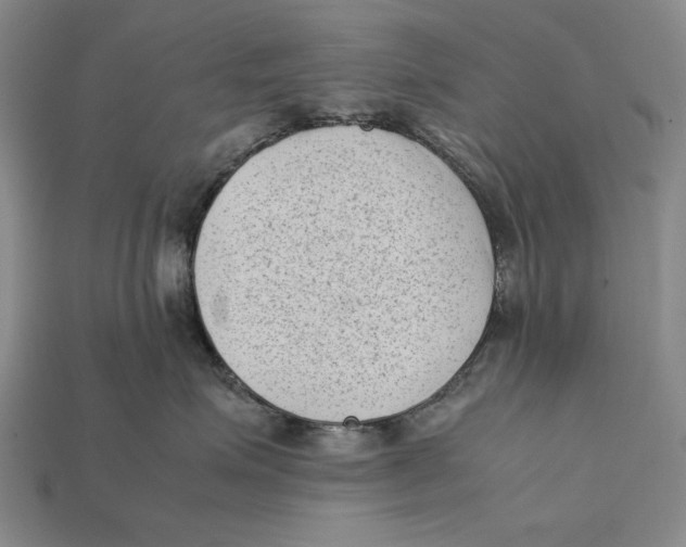 X0000112400623200909110930