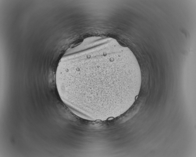X0000112400624200909110930