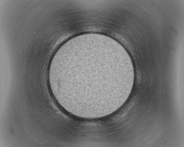 X0000112400625200909110929