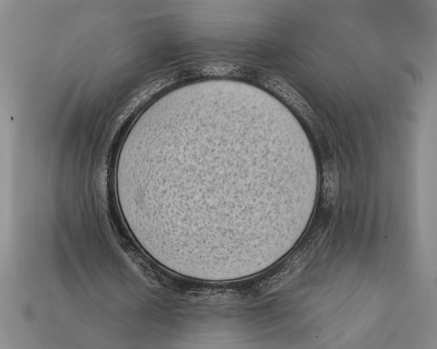 X0000112400626200909110929