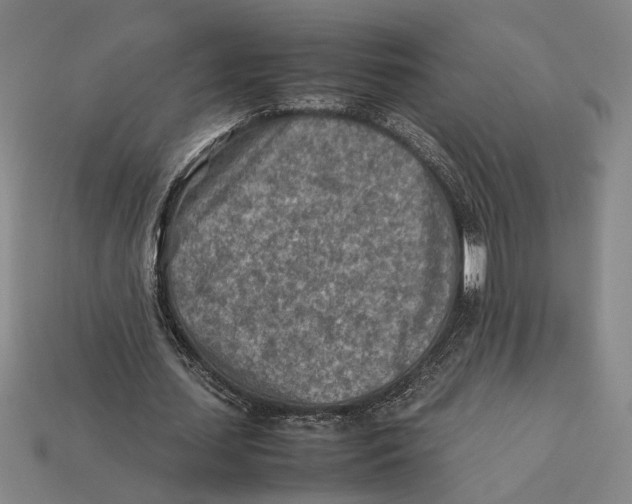 X0000112400627200909110929