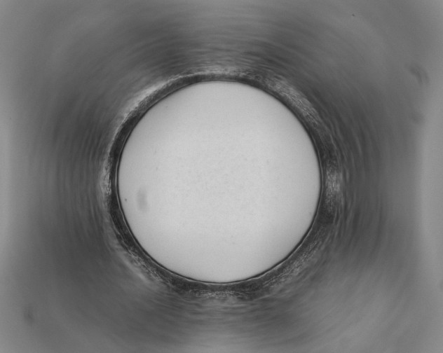X0000112400628200909110929