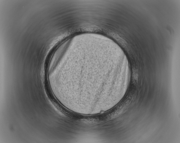 X0000112400630200909110930