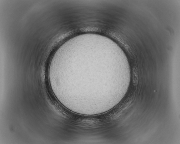 X0000112400631200909110930