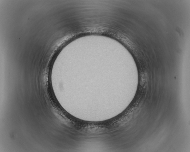 X0000112400632200909110930