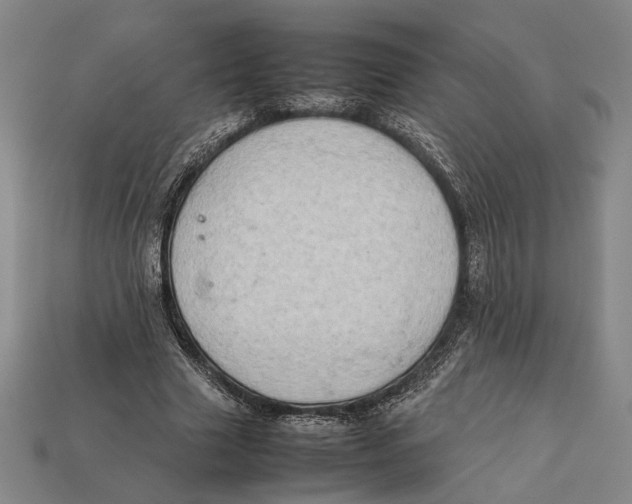 X0000112400633200909110930