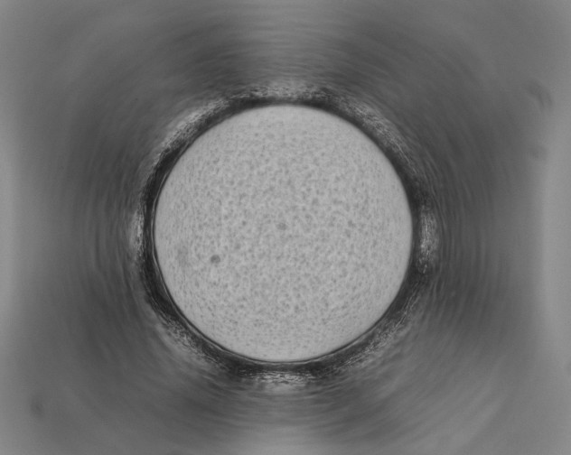 X0000112400636200909110930