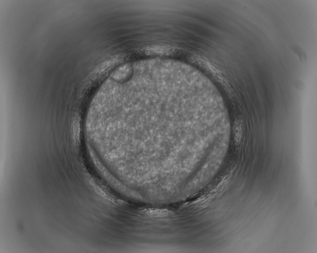 X0000112400637200909110930