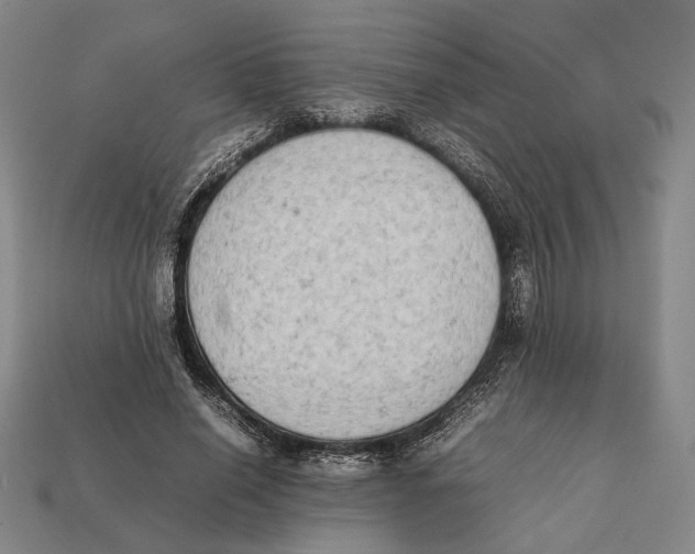 X0000112400638200909110930