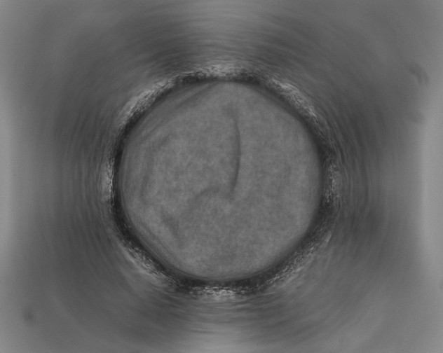 X0000112400640200909110930