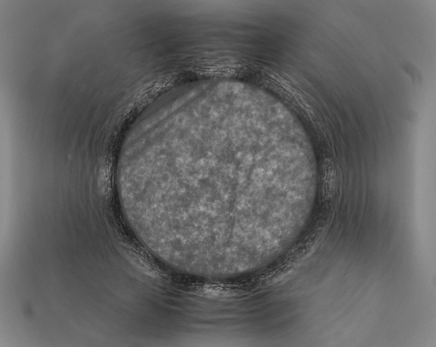 X0000112400641200909110930