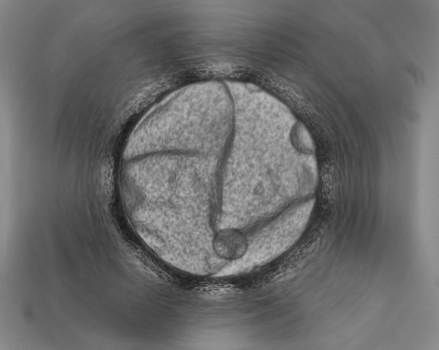 X0000112400642200909110930
