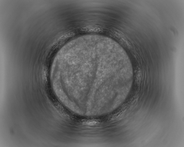 X0000112400643200909110930
