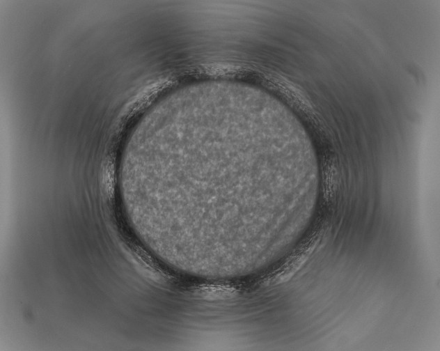 X0000112400644200909110930