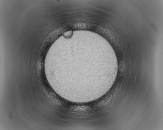 X0000112400645200909110930