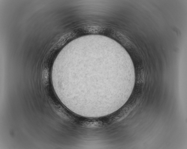 X0000112400646200909110930