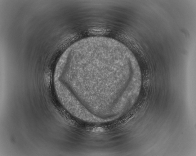 X0000112400647200909110930