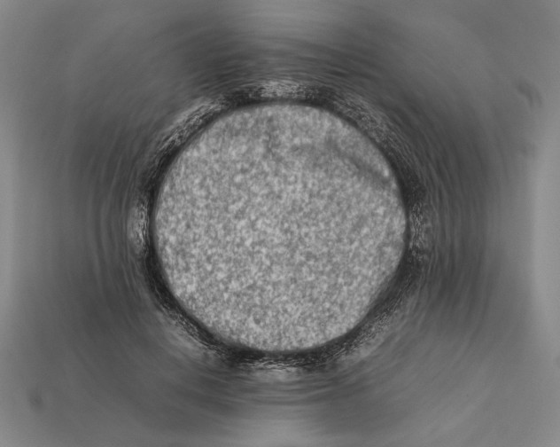 X0000112400648200909110930