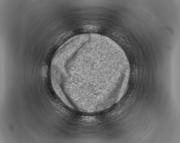 X0000112400649200909110930