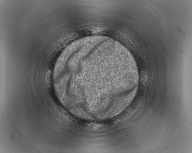 X0000112400650200909110930