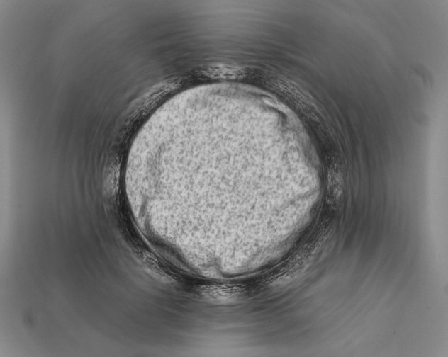 X0000112400652200909110930