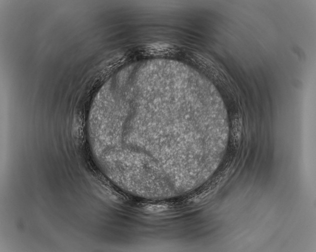 X0000112400653200909110930