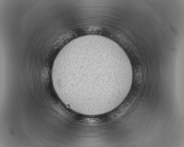 X0000112400654200909110930