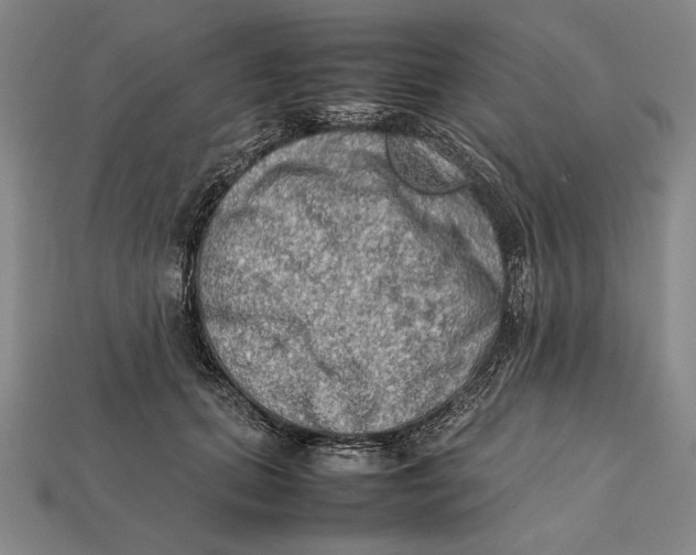 X0000112400655200909110930