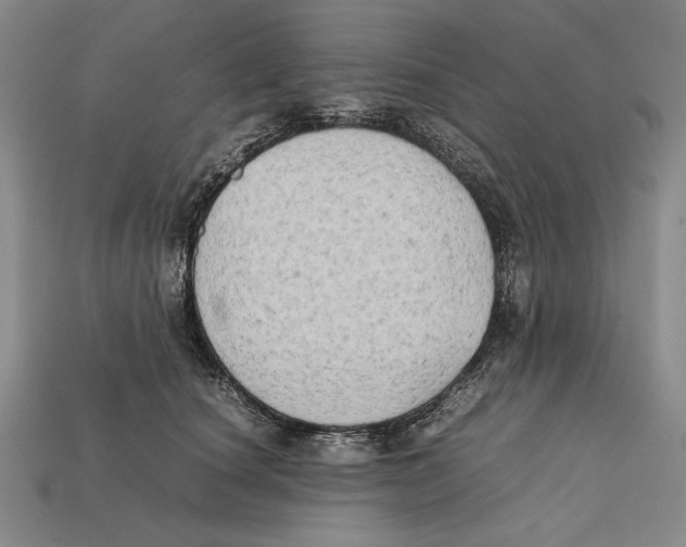 X0000112400660200909110930