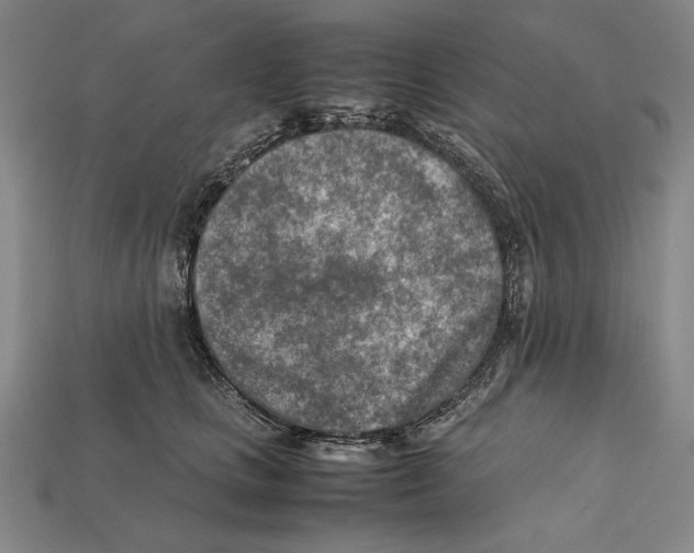X0000112400661200909110930