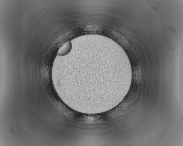 X0000112400662200909110930