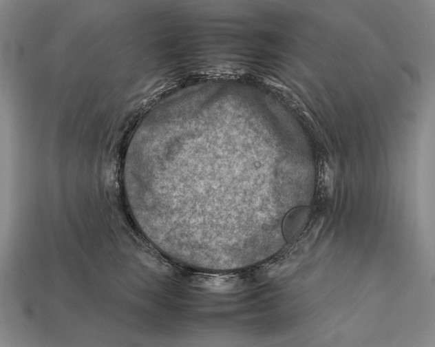 X0000112400663200909110930