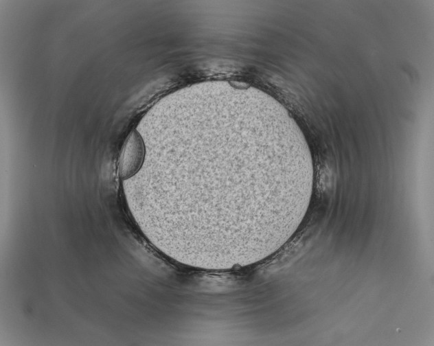 X0000112400666200909110930