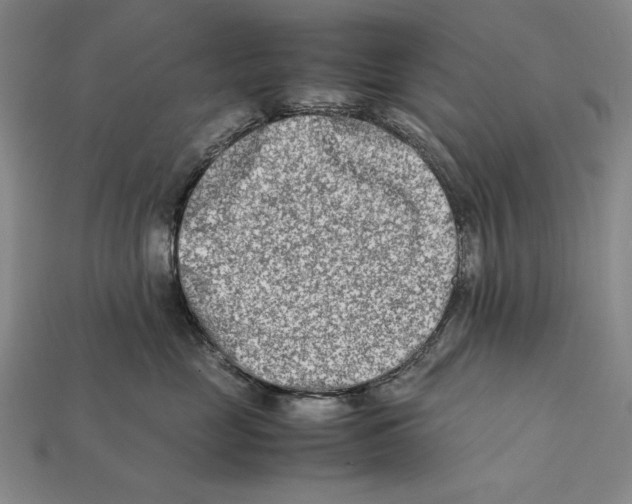 X0000112400669200909110930