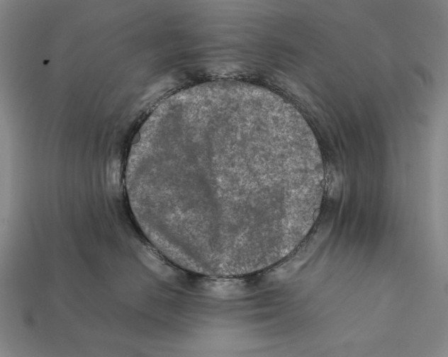 X0000112400670200909110930