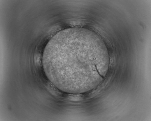 X0000112400671200909110930