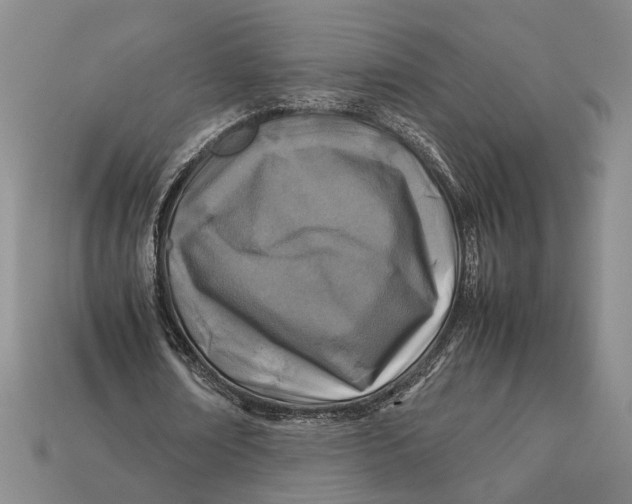 X0000112400674200909110929