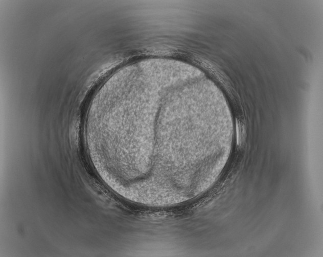 X0000112400675200909110929