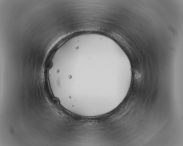 X0000112400676200909110929